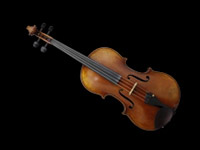 Violas